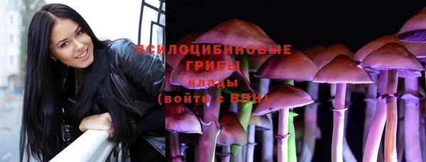 mdpv Вязьма