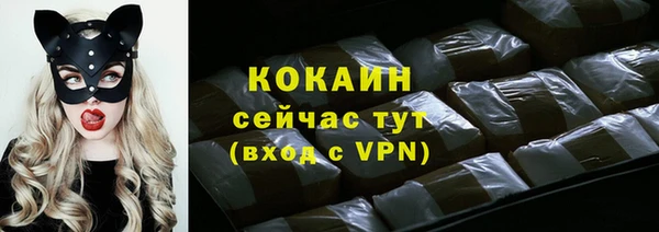 тгк Вяземский