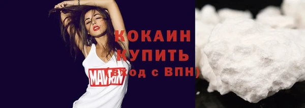 тгк Вяземский