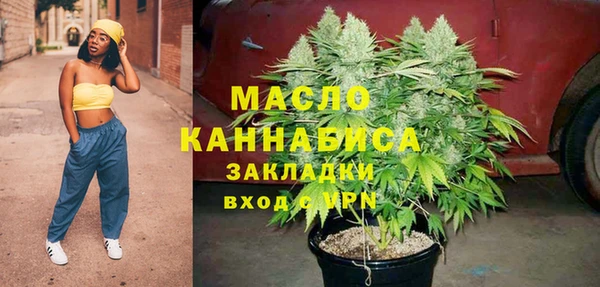 тгк Вяземский