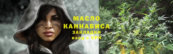 тгк Вяземский