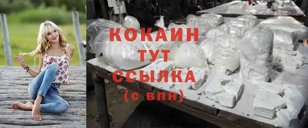 тгк Вяземский