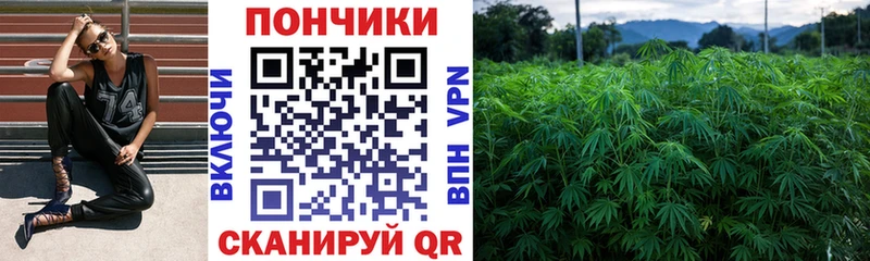 Бошки марихуана тримм  Купить где  Ясногорск 
